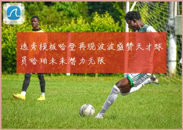 选秀模板哈登再现波波盛赞天才球员哈珀未来潜力无限