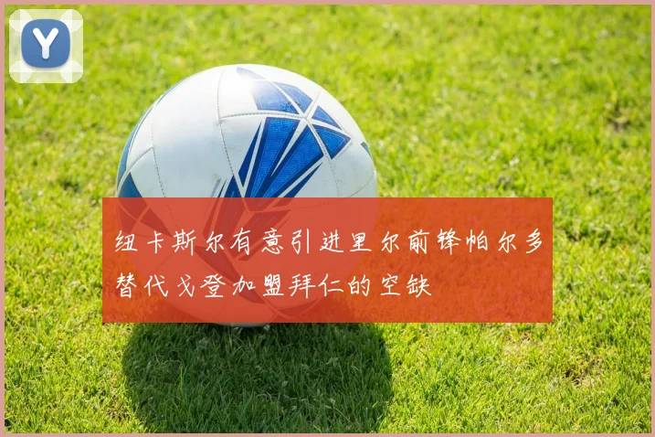 纽卡斯尔有意引进里尔前锋帕尔多替代戈登加盟拜仁的空缺